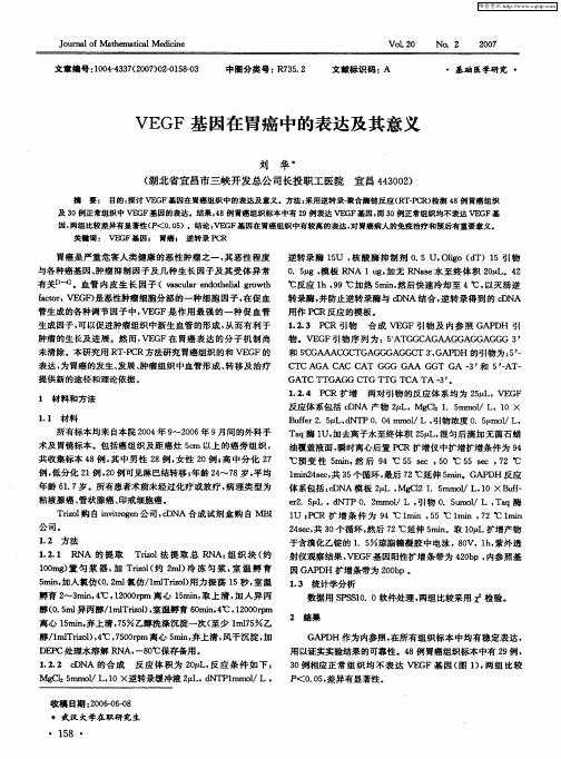 VEGF基因在胃癌中的表达及其意义