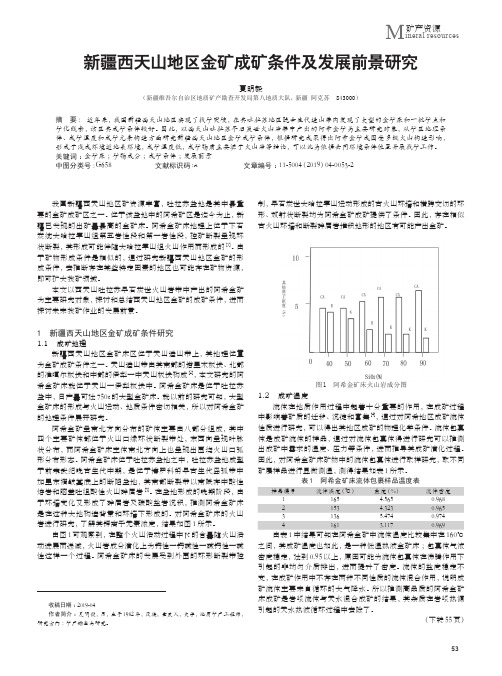 新疆西天山地区金矿成矿条件及发展前景研究