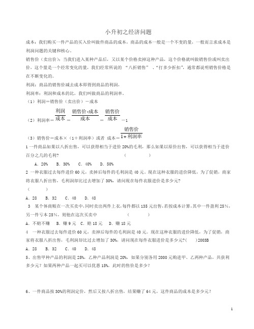 小升初数学经济问题总复习试题