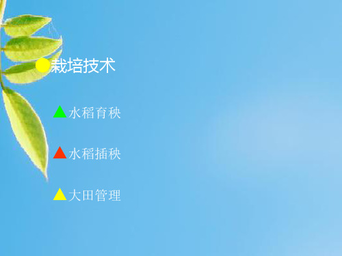 栽培技术PPT教学课件