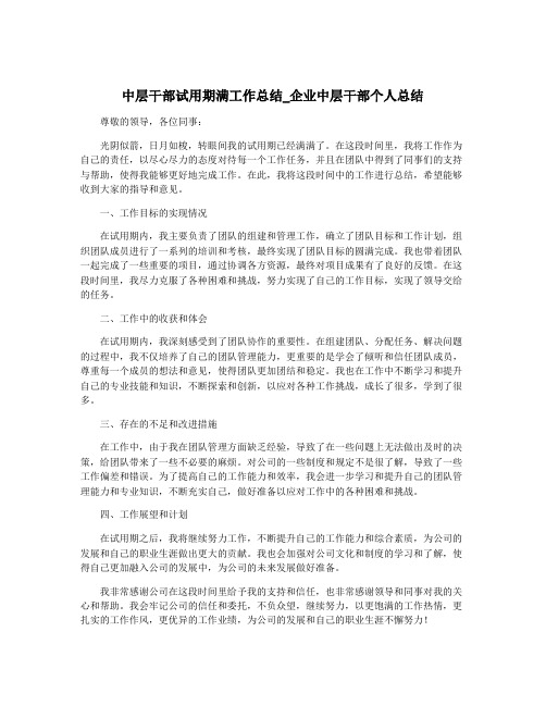 中层干部试用期满工作总结_企业中层干部个人总结