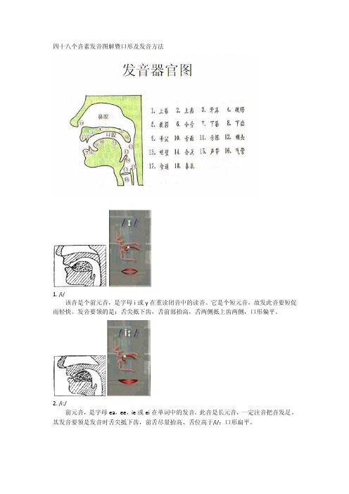 四十八个英语国际音标发音舌位图详解及发音方法