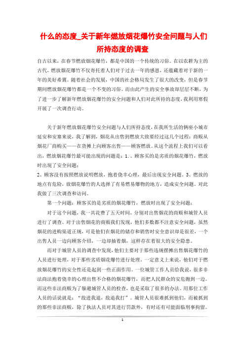 什么的态度_关于新年燃放烟花爆竹安全问题与人们所持态度的调查