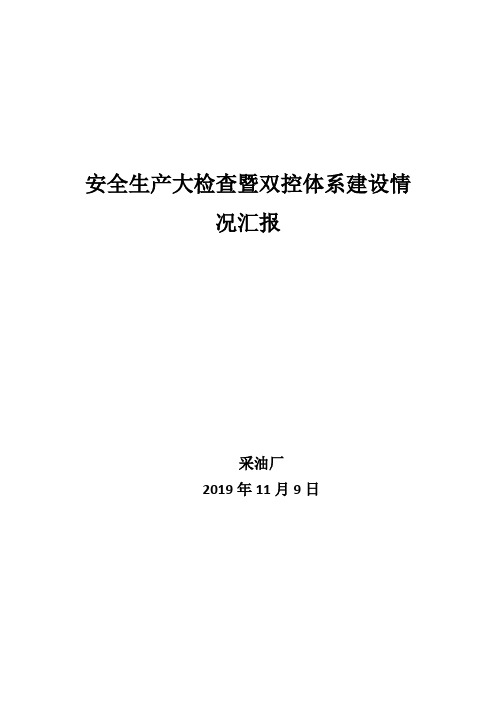 安全生产大检查暨双控体系建设情况汇报