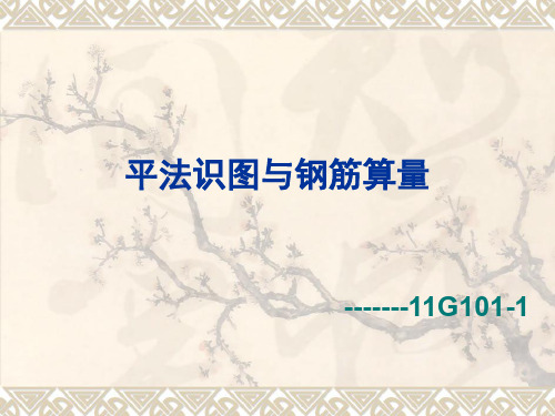 平法识图与钢筋算量----柱(ppt文档)