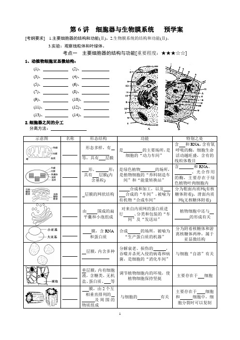 第6讲细胞器与生物膜系统