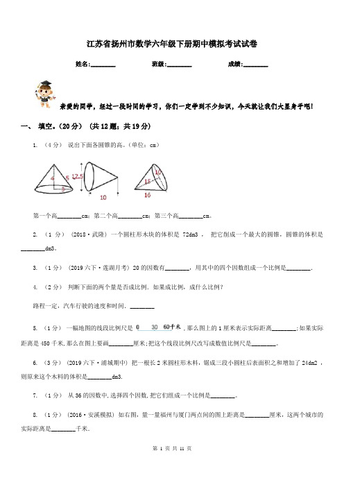 江苏省扬州市数学六年级下册期中模拟考试试卷