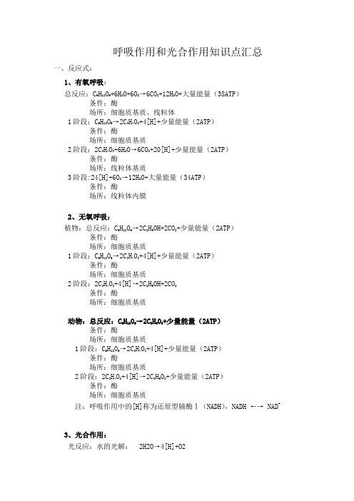 呼吸作用和光合作用专题(知识点汇总)