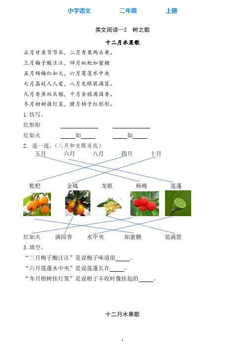 部编版语文二年级上册类文阅读识字2 树之歌