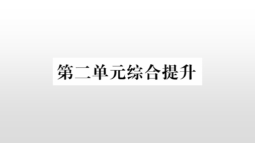 人教部编版九年级道德与法治上册作业课件-综合提升