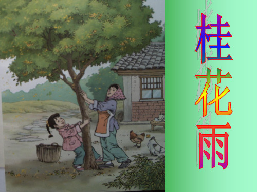 四年级上册语文课件-12 桂花雨｜苏教版 (共34张PPT)