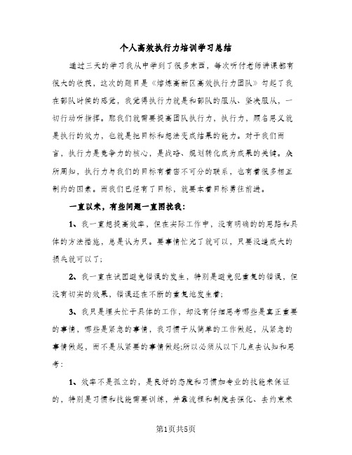 个人高效执行力培训学习总结（2篇）