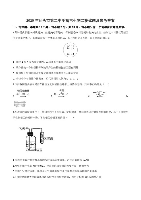 2020年汕头市第二中学高三生物二模试题及参考答案