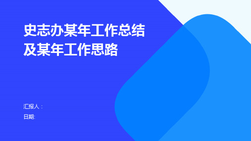 史志办某年工作总结及某年工作思路