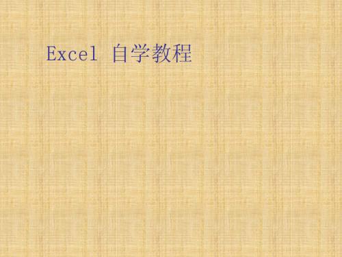 EXCEL2003教程(完整版)