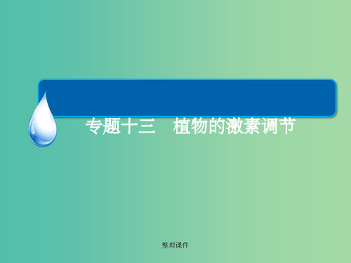 高考生物二轮专题复习 专题十三 植物的激素调节