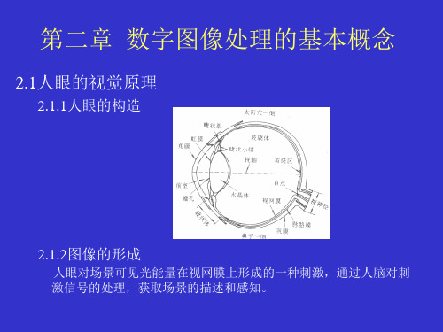 第二章数字图像处理的基本概念PPT课件