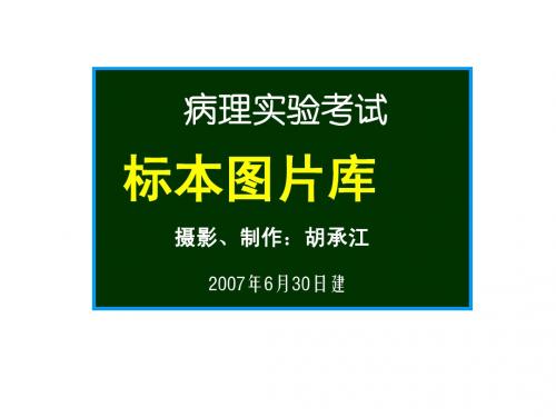 病理大体标本图片库