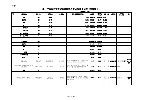 柳州市2021年市级层面统筹推进重大项目计划表(实施项目)