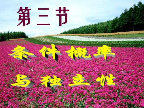 第3节 条件概率与独立性