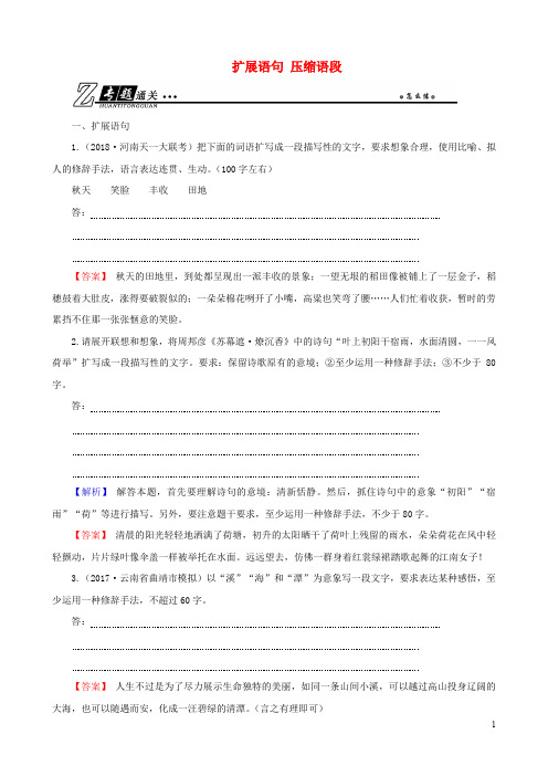 高考语文总复习 第三部分 语言文字运用 专题五 扩展语句、压缩语段 考点2 扩展语句 压缩语段通关练