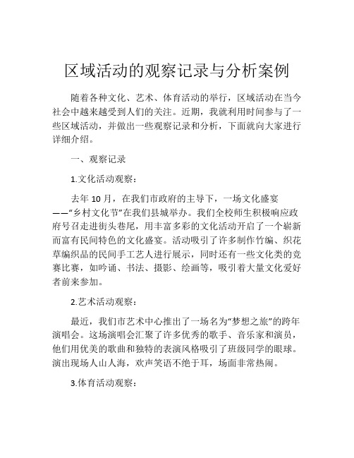 区域活动的观察记录与分析案例