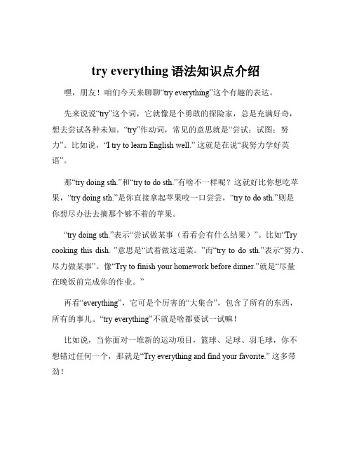 try everything语法知识点介绍