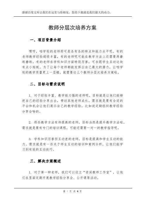 教师分层次培养方案