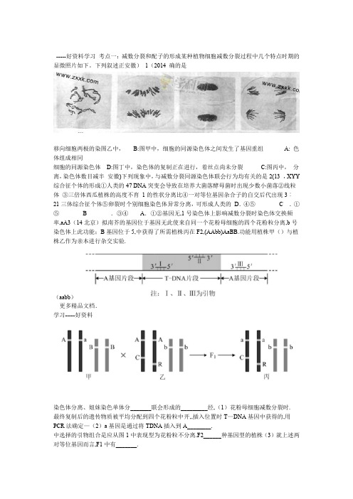 高考生物专用近5年高考真题及答案遗传的细胞基础减数分裂