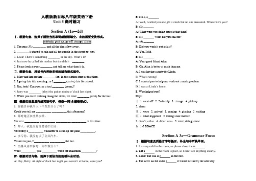 人教版新目标八年级英语下册 Unit 5 课时练习(含答案)