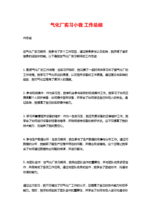 气化厂实习小我 工作总结