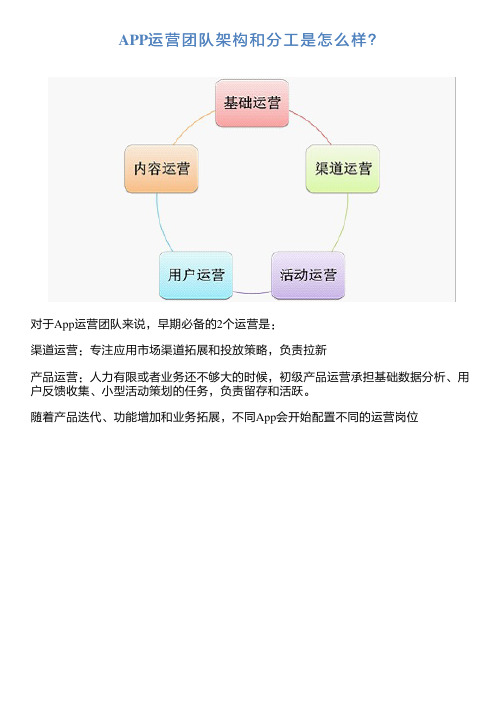 APP运营团队架构和分工是怎么样？