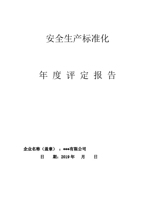 企业安全标准化年度评定报告