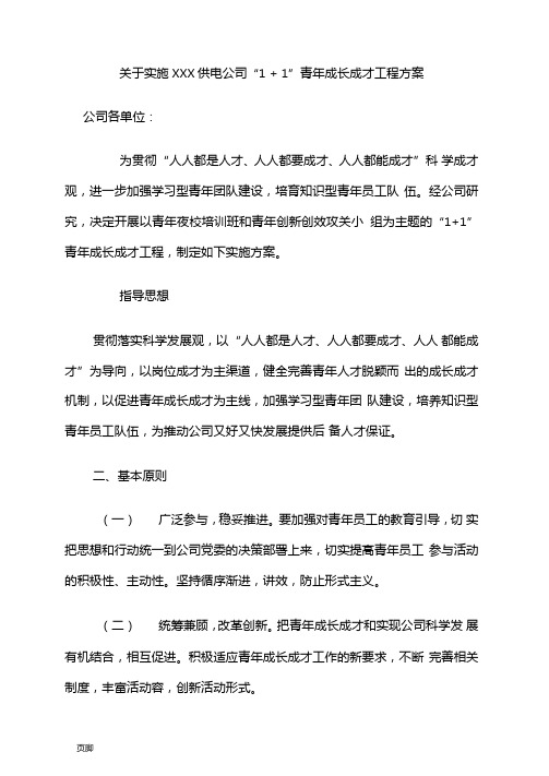 企业青年成长成才实施计划方案