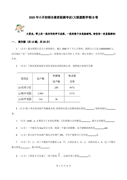 2020年小升初联合素质检测考试(大联盟数学卷)B卷