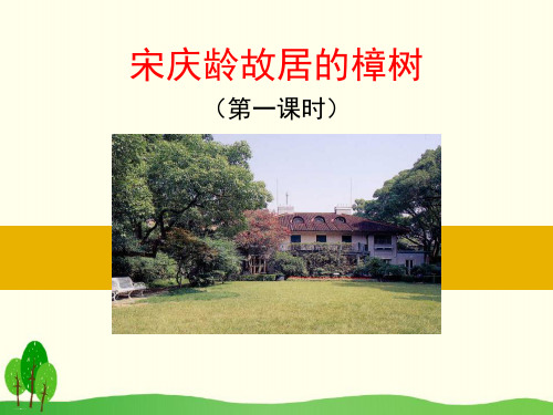 《宋庆龄故居的樟树》PPT【名师课件】