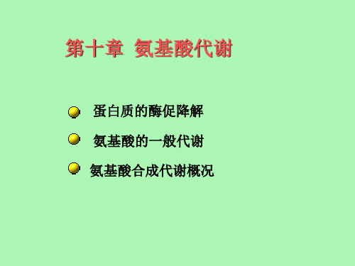 十一蛋白质降解及氨基酸代谢课件