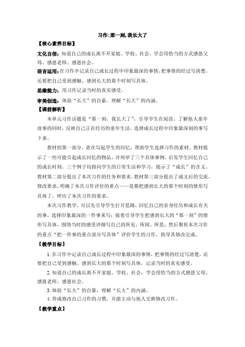 习作：那一刻,我长大了 优质教案