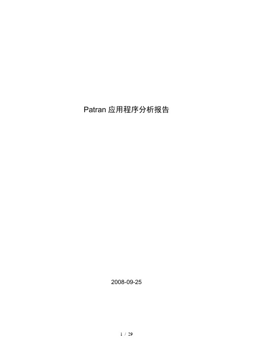 Patran应用程序分析报告