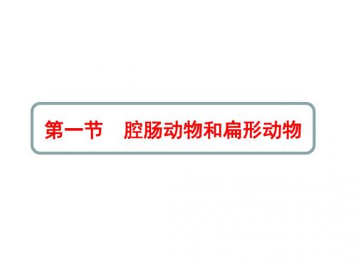 (名师整理)生物八年级上册第五单元 第一章 《第一节 腔肠动物和扁形动物》市优质课一等奖课件 