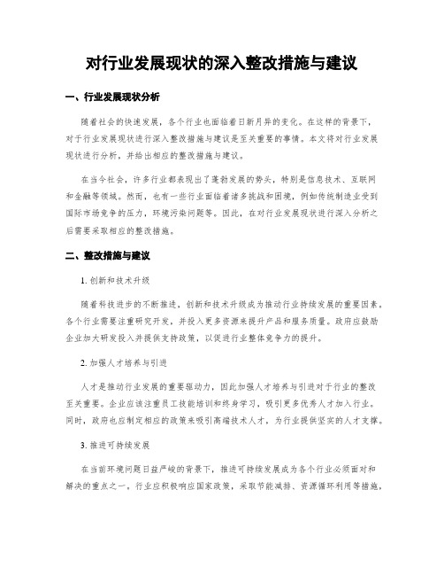 对行业发展现状的深入整改措施与建议