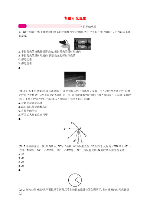 2018届中考物理总复习专题4光现象新人教版20171031363