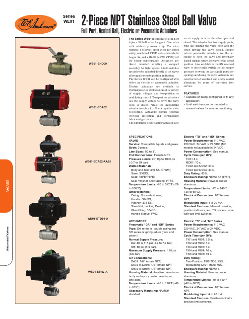 自动阀门 VALVES The Series WE01说明书