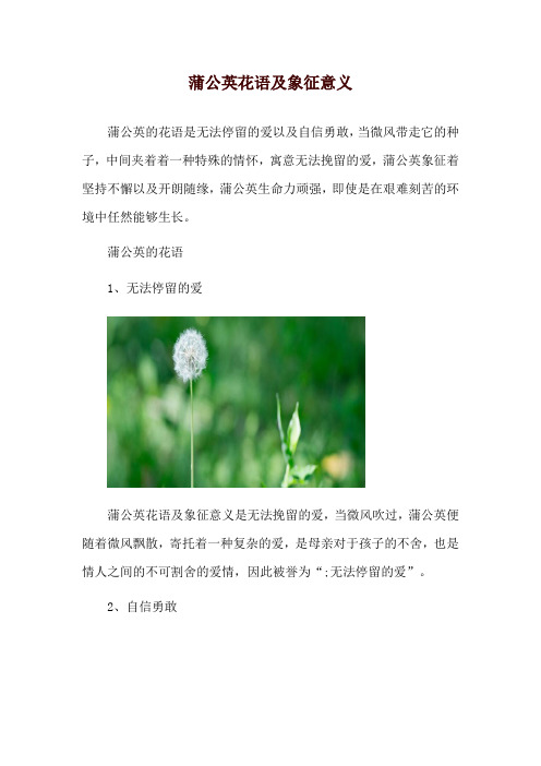 蒲公英花语及象征意义