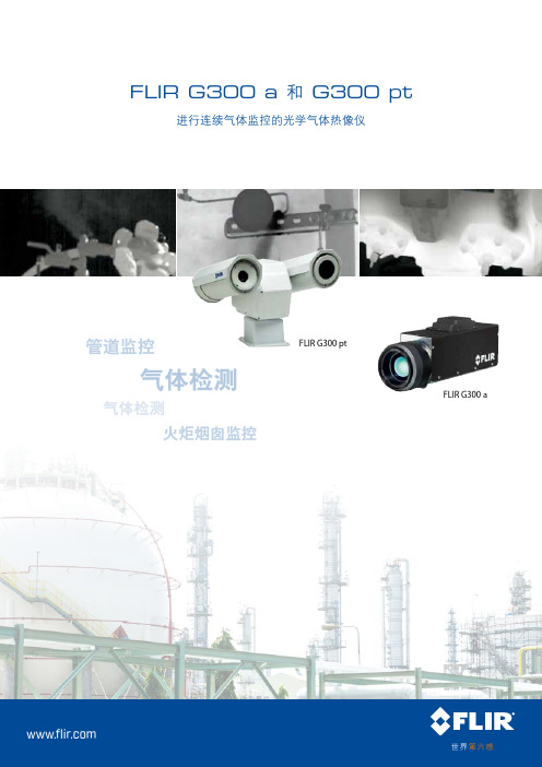 FLIR G300 A和G300 pt进行连续气体监控的光学气体热像仪 菲力尔