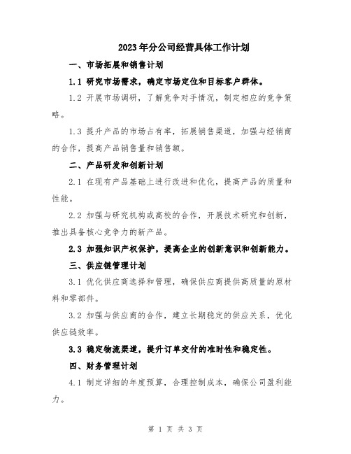 2023年分公司经营具体工作计划