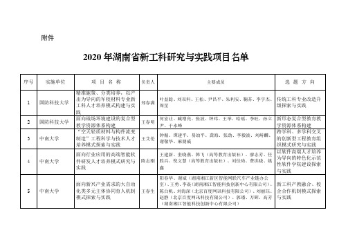 2020年湖南省新工科研究与实践项目