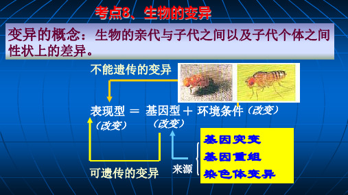 考点8 生物的变异-2020年人教版高考生物会考纲要考点课件(共18张PPT)