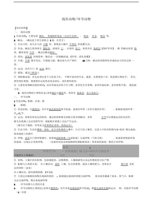 线形动物和环节动物知识点