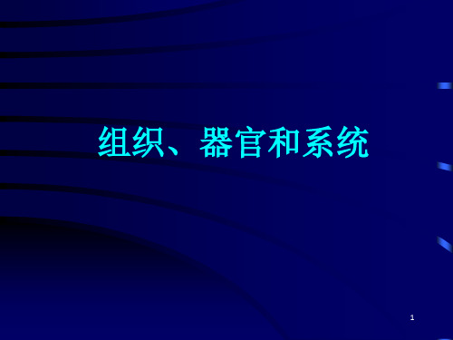 动植物的组织、器官与系统